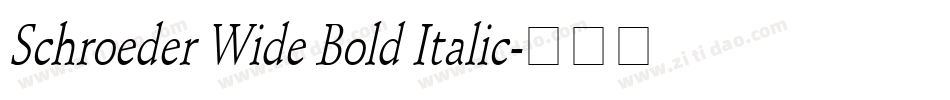 Schroeder Wide Bold Italic字体转换